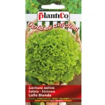Sałata Lollo Bionda, liściowa PlantiCo