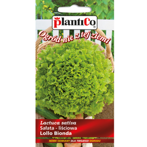 Sałata Lollo Bionda, liściowa PlantiCo 1768512963287-30087-3-6e9z44.png