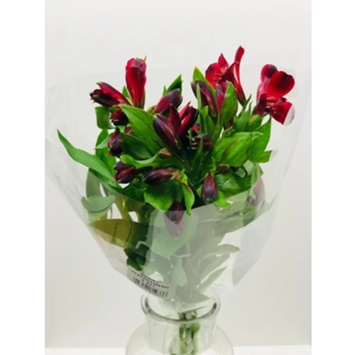 BUKIET ALSTROMERIA 5 SZT 1768513904089-31723-3-p8vmov.png