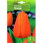 Tulipan Triumph Orange Benex