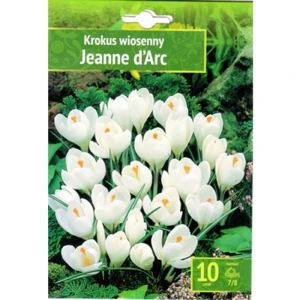 Krokus wiosenny Jeanne Darc 10 szt. Benex