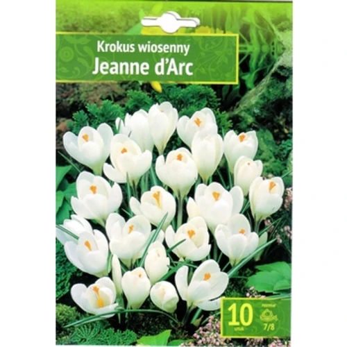Krokus wiosenny Jeanne Darc 10 szt. Benex 1768514827908-33328-3-yv5xir.png