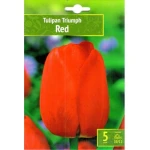 Tulipan Triumph Red Benex