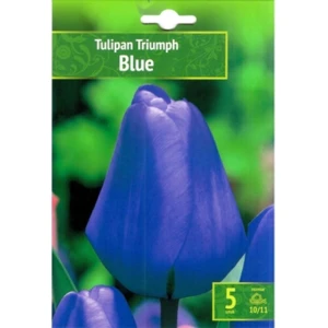 Tulipan Triumph Blue Benex