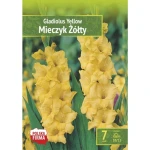 Kapers Gladiolus Yellow - Mieczyk Żółty 10/12 7 Szt.
