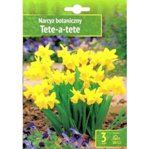 Narcyz Tete-A-Tete 3szt . Benex