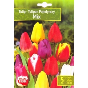 Kapers Tulipa-Tulipan Pojedynczy Mix 10/11 5 szt.