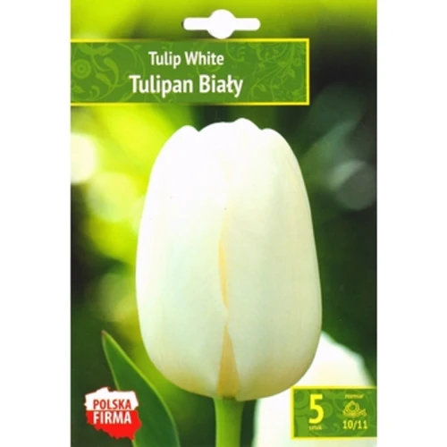 Kapers Tulip - Tulipan White 10/11 5 Szt. 1768517978175-38864-3-p420t.png