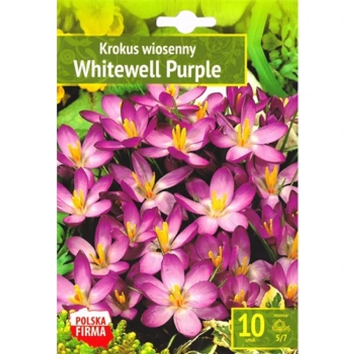 Benex Kapers Crocus - Krokus Whitewell Purple 5/7 10 Szt. 1768518393261-39676-3-sttsr.png