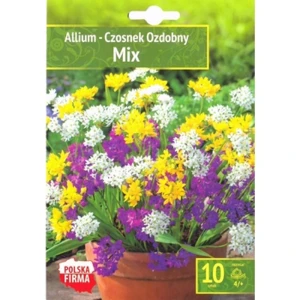 Kapers Allium - Czosnek Mix 4/+ 10 Szt.