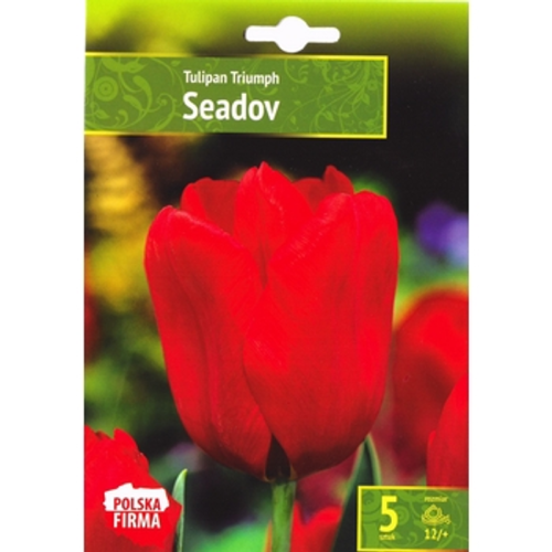 Benex Kapers Tulip - Tulipan Seadov 12/+ 5 Szt. 1768518815720-40403-3-hgqpb.png