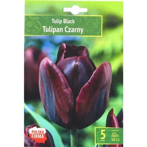 Kapers Tulip - Tulipan Black 10/11 5 Szt. 1768518881643-40529-3-bobllo.png