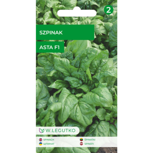 Szpinak/Spinacia oleracea/Asta F1/ Legutko 1768522491843-46985-3-d1oe6.png