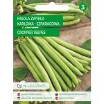 Fasola zwykła/Phaseolus vulgaris var. nanus/Cropper Teepee/zielone/Legutko