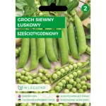 Groch siewny łuskowy/Pisum sativum/Sześciotygodniowy/Legutko