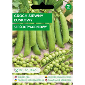 Groch siewny łuskowy/Pisum sativum/Sześciotygodniowy/Legutko