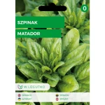 Szpinak/Spinacia oleracea/Matador/ Legutko
