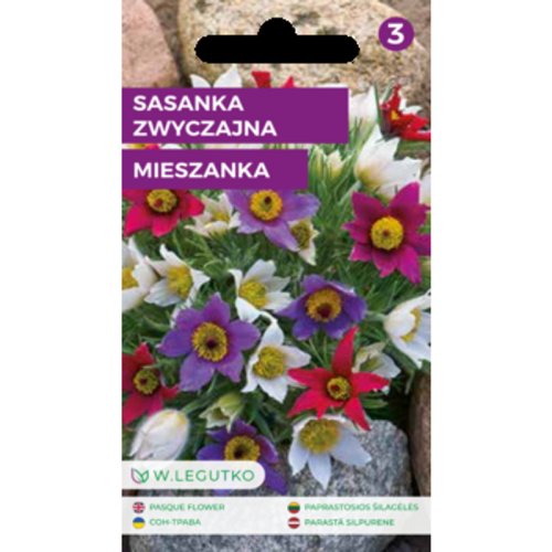 Sasanka zwyczajna/Pulsatilla vulgaris/-/mieszanka/ Legutko 1768522505369-47001-3-hkdlcp.png
