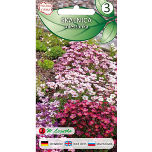 Skalnica/Saxifraga arendsii/-/mieszanka/ Legutko 1768522505464-47004-3-b7491u.png