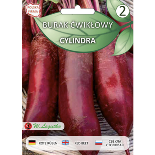 Burak ćwikłowy/Beta vulgaris var. conditiva/Cylindra/czerwone/ Legutko 1768522511044-47011-3-y1i539.png