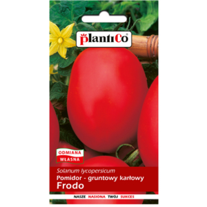 Pomidor - gruntowy karłowy Frodo