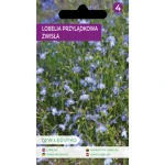 Lobelia przylądkowa zwisła/Lobelia erinus var. pendula/-/niebieskie/ Legutko