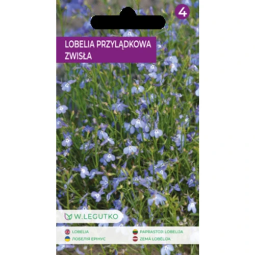 Lobelia przylądkowa zwisła/Lobelia erinus var. pendula/-/niebieskie/ Legutko 1768522526098-47032-3-d88ylw.png