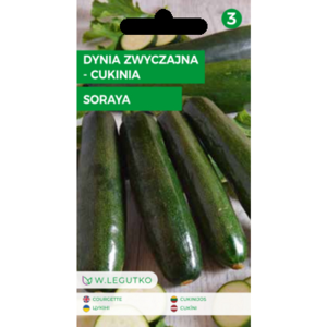 Dynia zwyczajna/Cucurbita pepo/Soraya/zielone/ Legutko