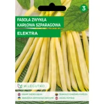 Fasola zwykła/Phaseolus vulgaris var. nanus/Elektra/żółte/ Legutko