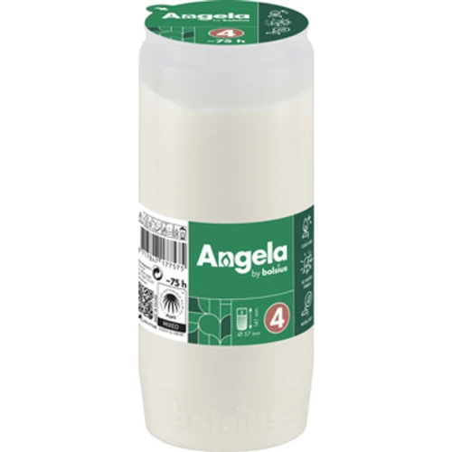 Wkład Angela z olejem RSPO RC4 1768508674295-20905-3-3kv7ep.png