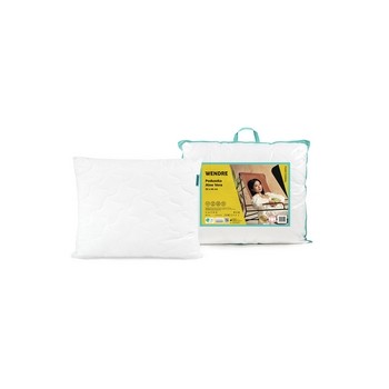 Poduszka Aloe Vera 50x60 cm 58197948_0_1737197042749.jpg