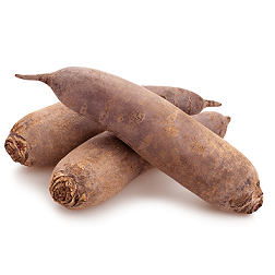 Buraki podłużne 5-6 szt.