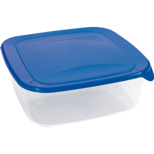 Pojemnik FRESH&GO kwadratowy 2,9l 1768507210091-17500-3-3xa798.png