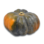 Dynia Zielona Muscat ok. 5 kg