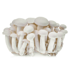 Grzyby Shimeji ok. 150 g