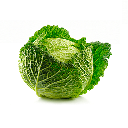 Kapusta włoska 1 szt. (ok. 2 kg) kapusta-wloska.png