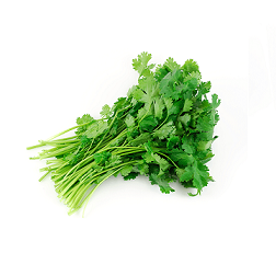 Kolendra świeża cięta ok. 100 g kolendra-swieza-2.png