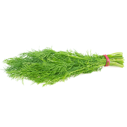 Koperek pęczek 1 szt. koperek.png