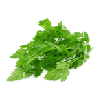 Natka pietruszki pęczek 1 szt.