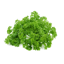 Natka pietruszki karbowana pęczek 1 szt. natka-pietruszki-karbowana.png