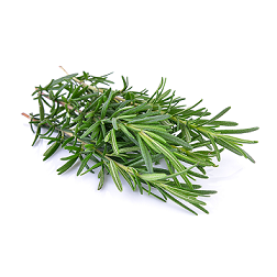 Rozmaryn świeży cięty ok. 100 g rozmaryn-swiezy.png