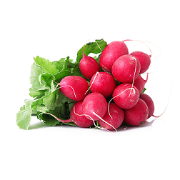 Rzodkiewka pęczek 1 szt.
