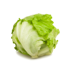 Sałata lodowa 1 szt.