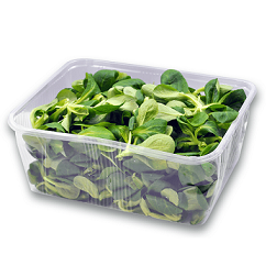Sałata Roszponka myta ok. 100 g roszponka.png