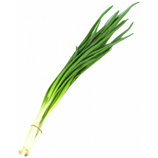 Szczypior Parade pęczek 1 szt.