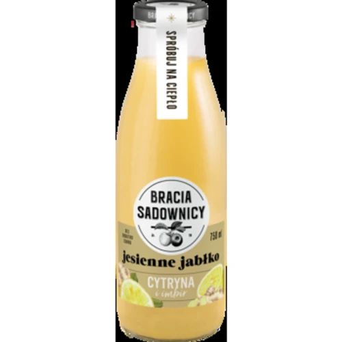 Napój Bracia Sadownicy Jesienne jabłko cytryna i imbir 750 ml 1775830419240-puegr3.png