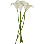kalia soft touch 36 cm
