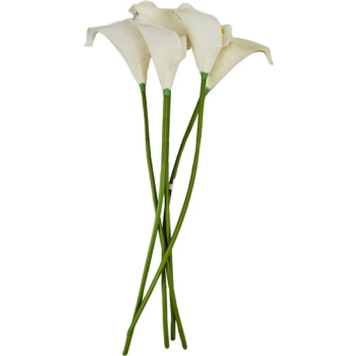 kalia soft touch 36 cm 1775834391004-g0ta7e.png