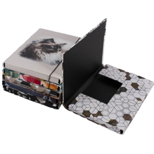 Teczka A4 szkolna skrzydłowa na gumkę 2 cm z nadrukiem image-editor%2Fzip-import%2F1776698382077-538-02d81d820947.png