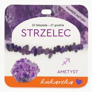 Bransoletka BRA-039 Znak zodiaku (Strzelec, ametyst)